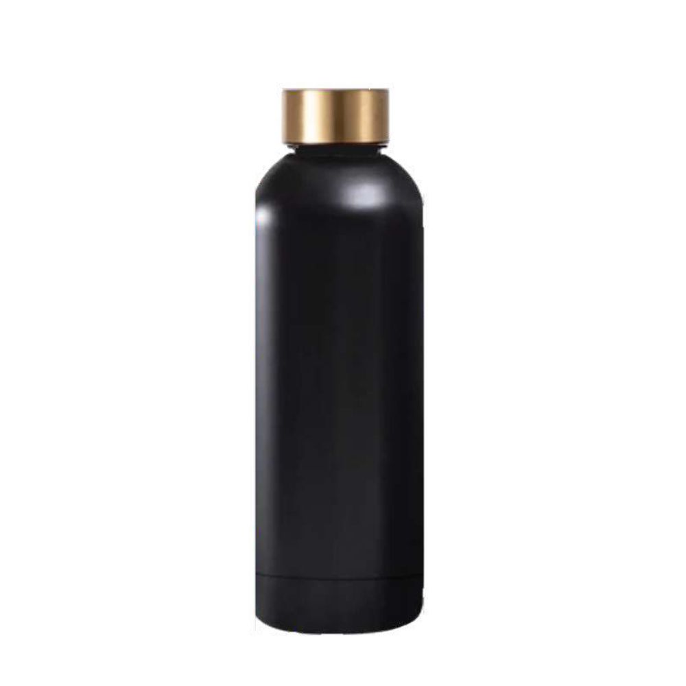 Stainless Steel Water Bottle 500ml